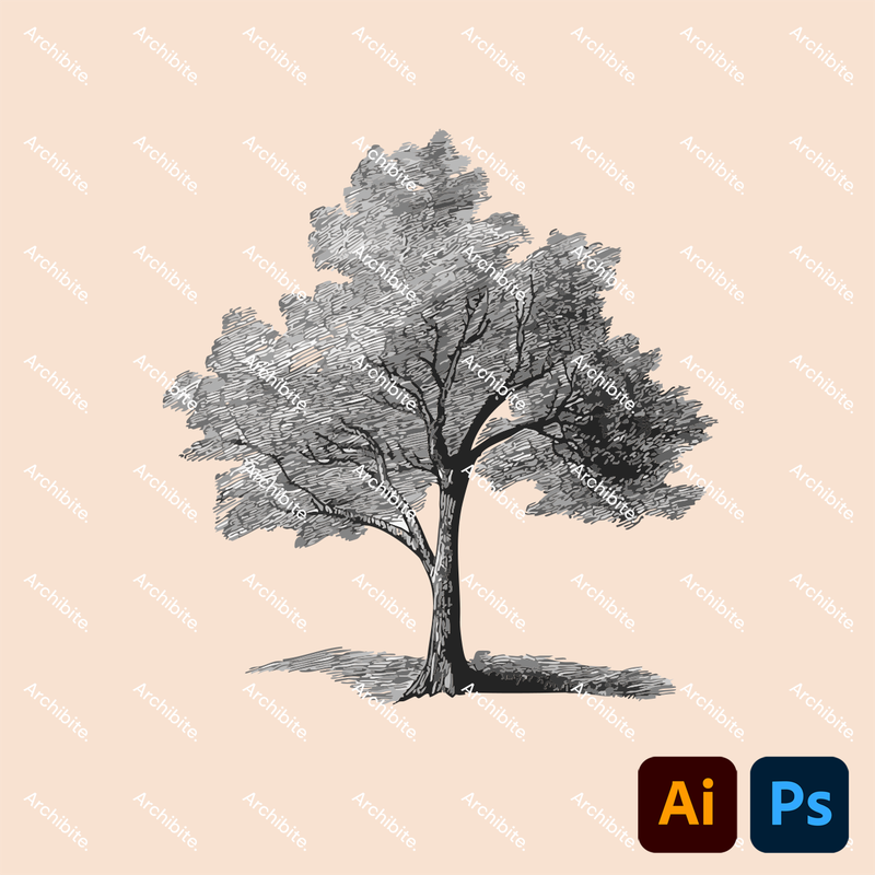 Vector Hand Drawn Trees Elevation