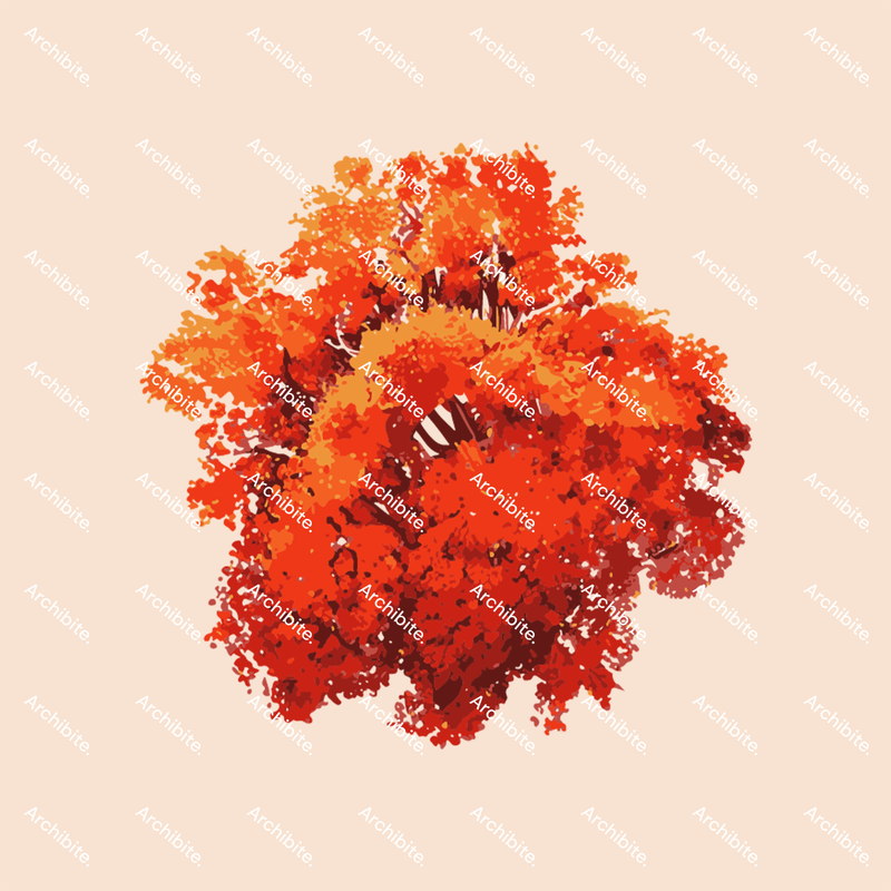 Vector Autumn Trees Plan