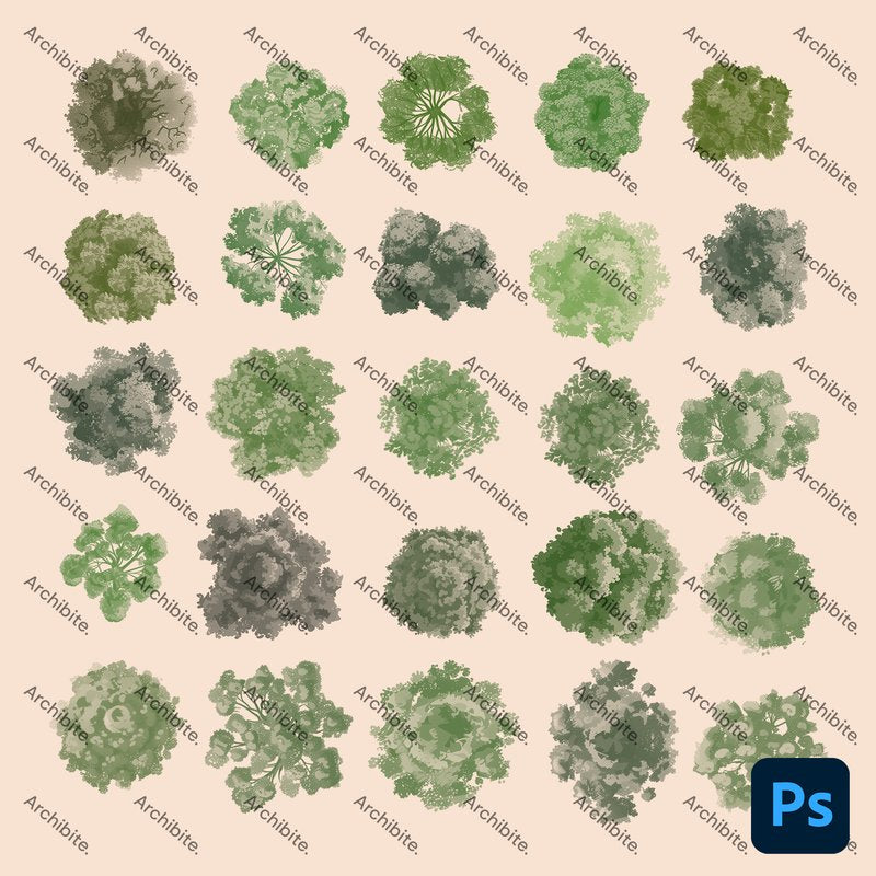 Photoshop Brushes Summer Trees Plan