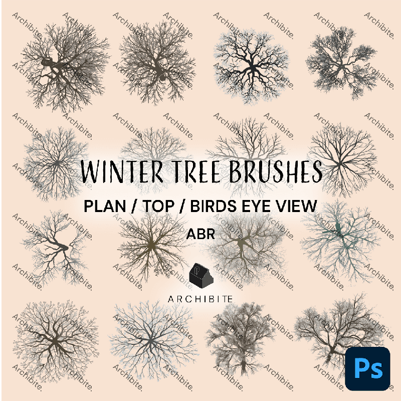 Photoshop Brushes Winter Trees Plan - Main Image