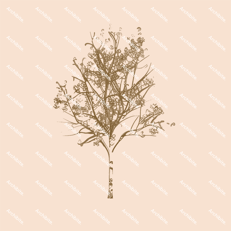 Photoshop Brushes Autumn Trees Elevation