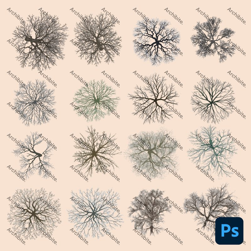 Photoshop Brushes Winter Trees Plan