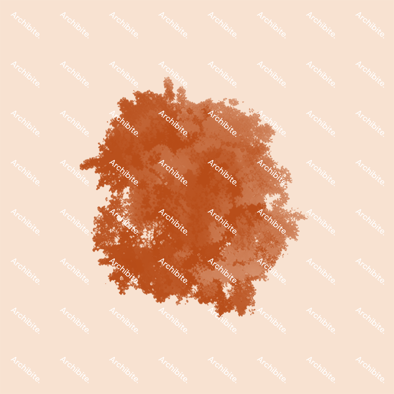 Photoshop Brushes Autumn Trees Plan