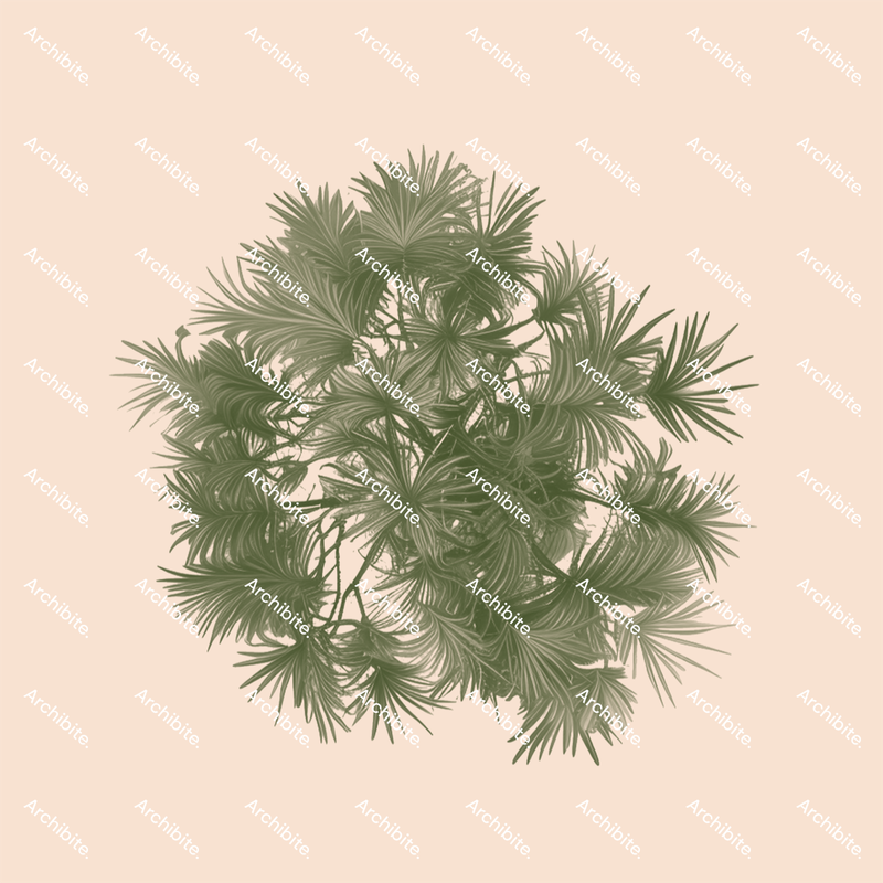 Photoshop Brushes Conifer Trees Plan