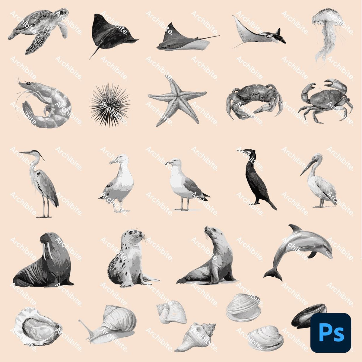 Photoshop Brushes - Seaside Animals Elevation