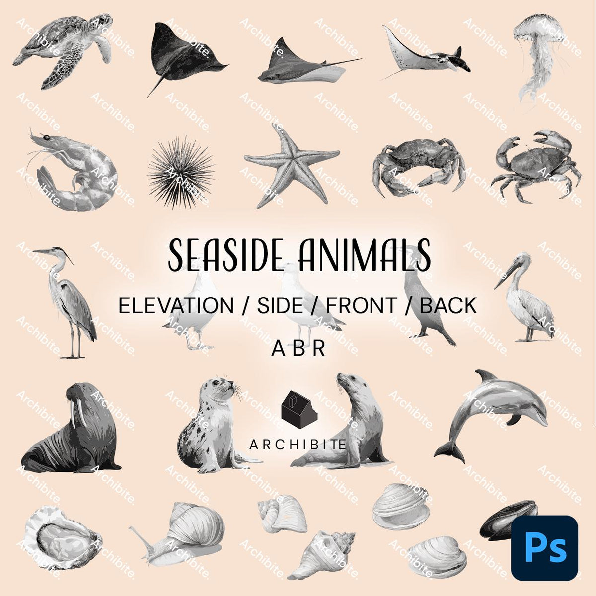 Photoshop Brushes - Seaside Animals Elevation
