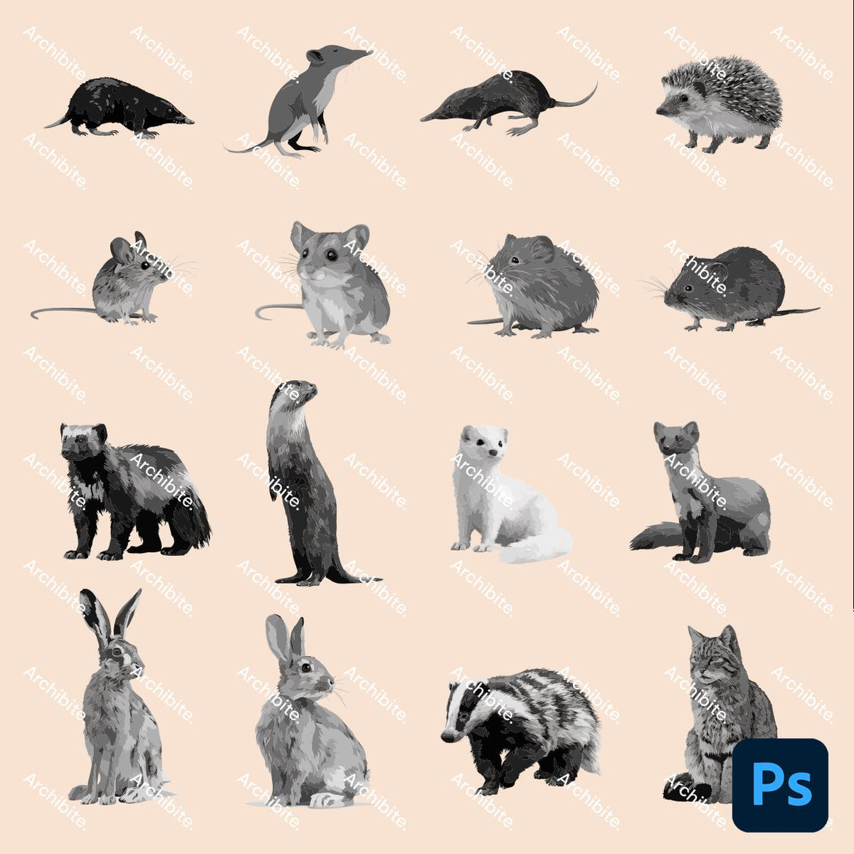 Photoshop Brushes - Small Forest Animals Elevation