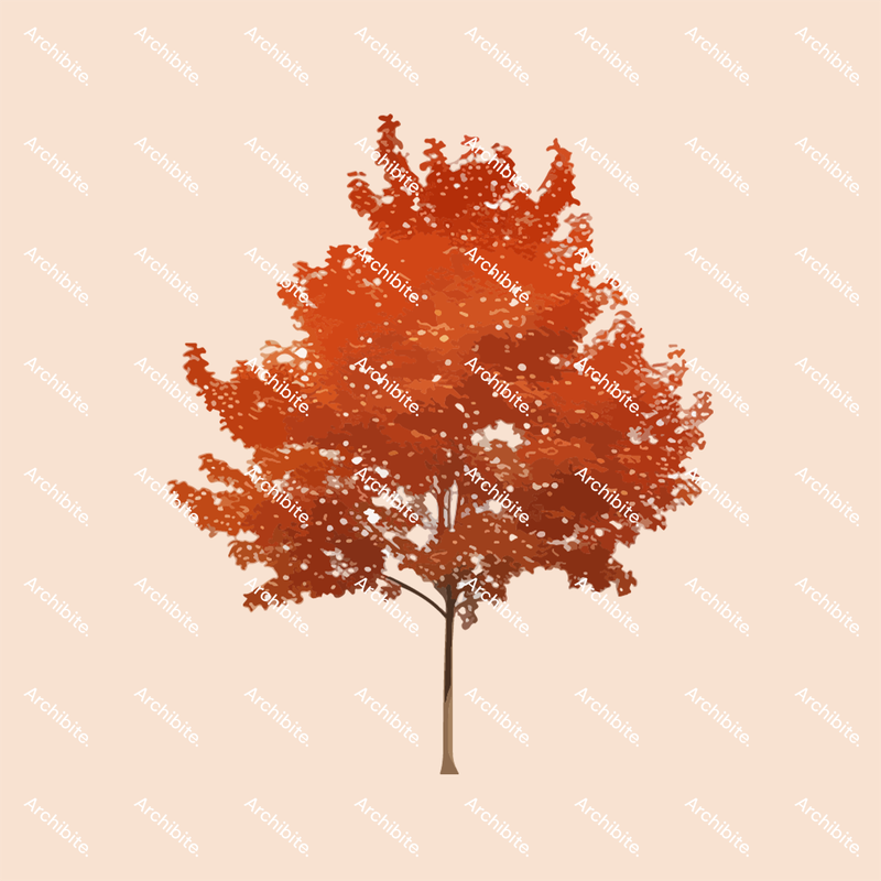 Vector Autumn Trees Elevation