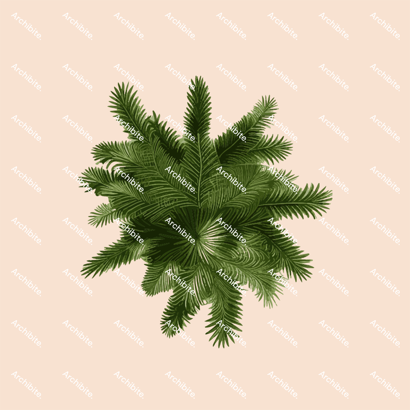 Vector Conifer Trees Plan