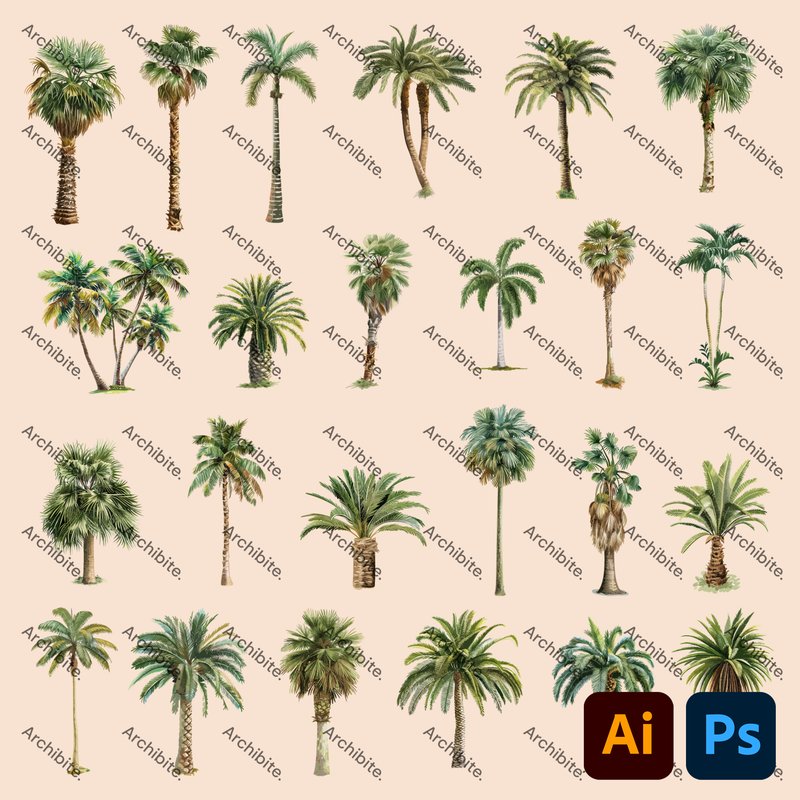 Vector Palm Trees Elevation