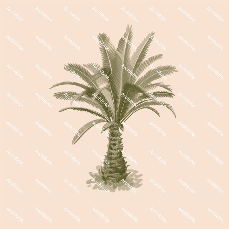 Photoshop Brushes Palm Trees Elevation