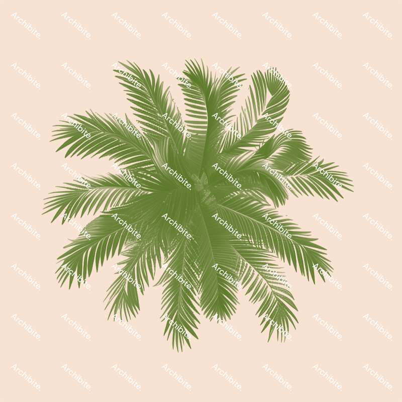 Photoshop Brushes Palm Trees Plan