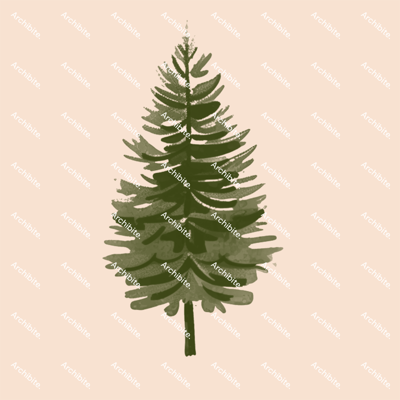 Photoshop Brushes Conifer Trees Elevation