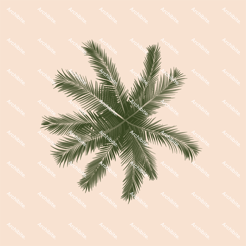 Photoshop Brushes Palm Trees Plan