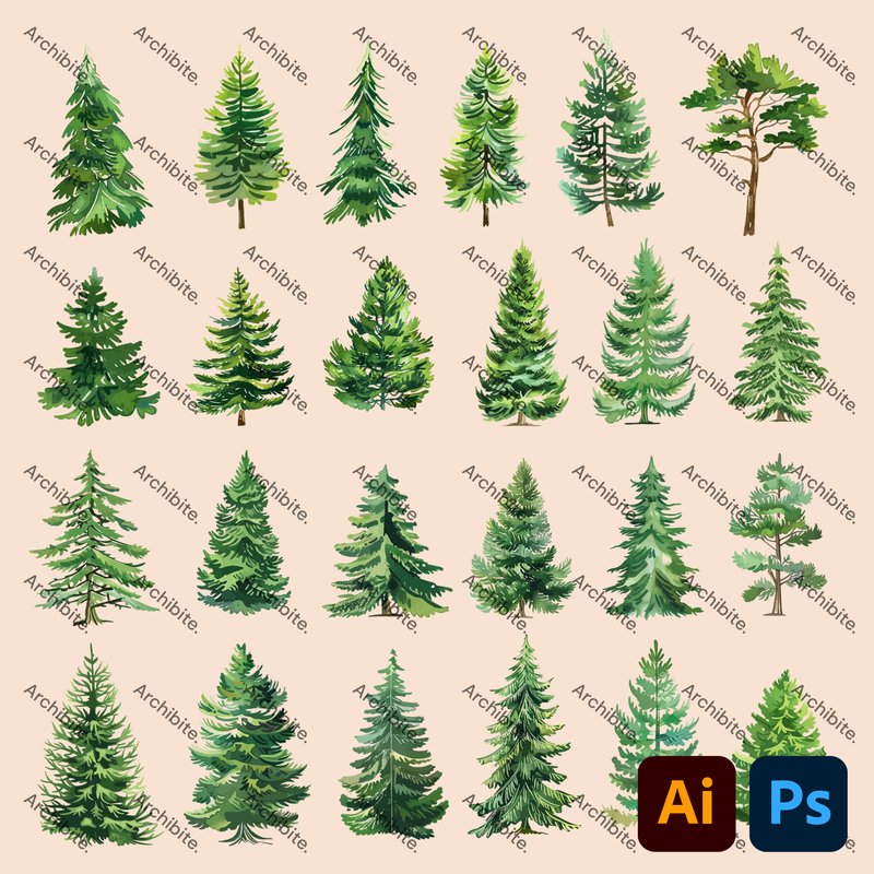 Vector Conifer Trees Elevation