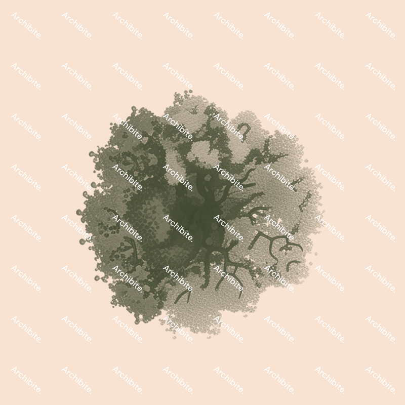 Photoshop Brushes Summer Trees Plan