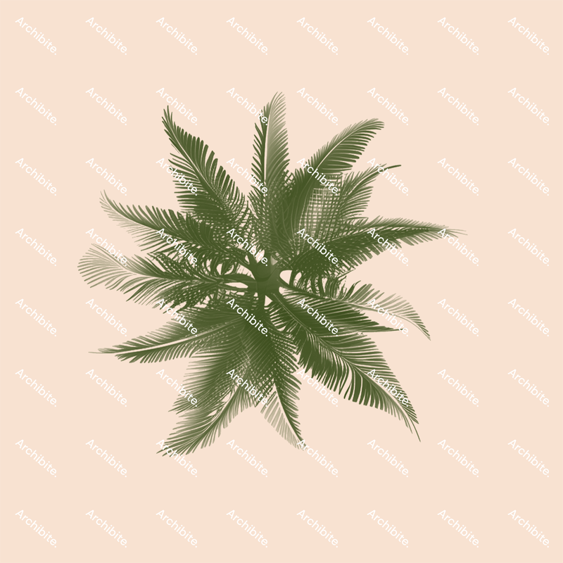 Photoshop Brushes Palm Trees Plan