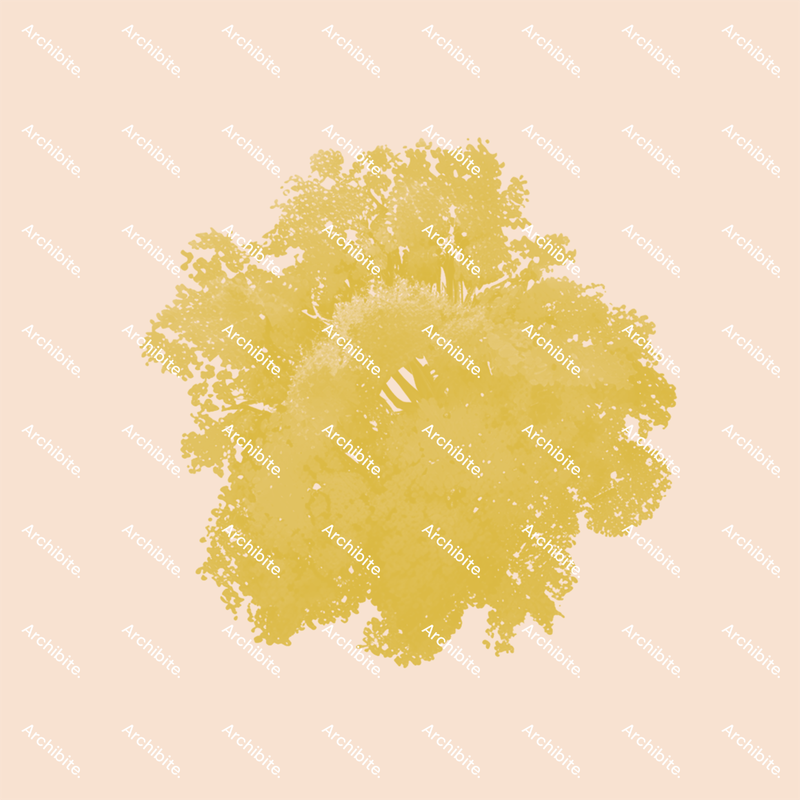 Photoshop Brushes Autumn Trees Plan