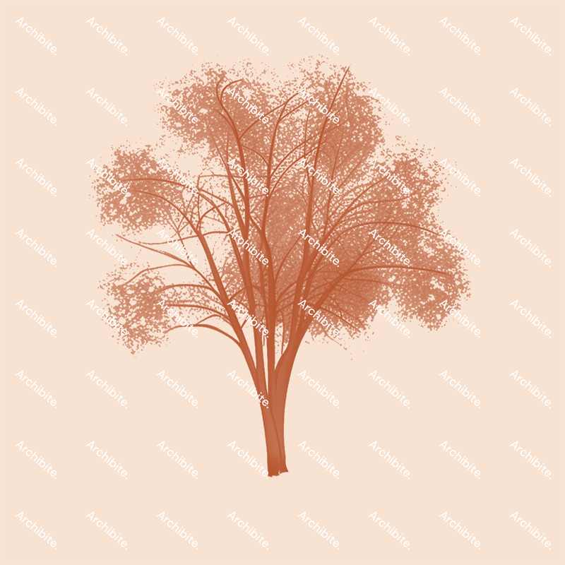 Photoshop Brushes Autumn Trees Elevation