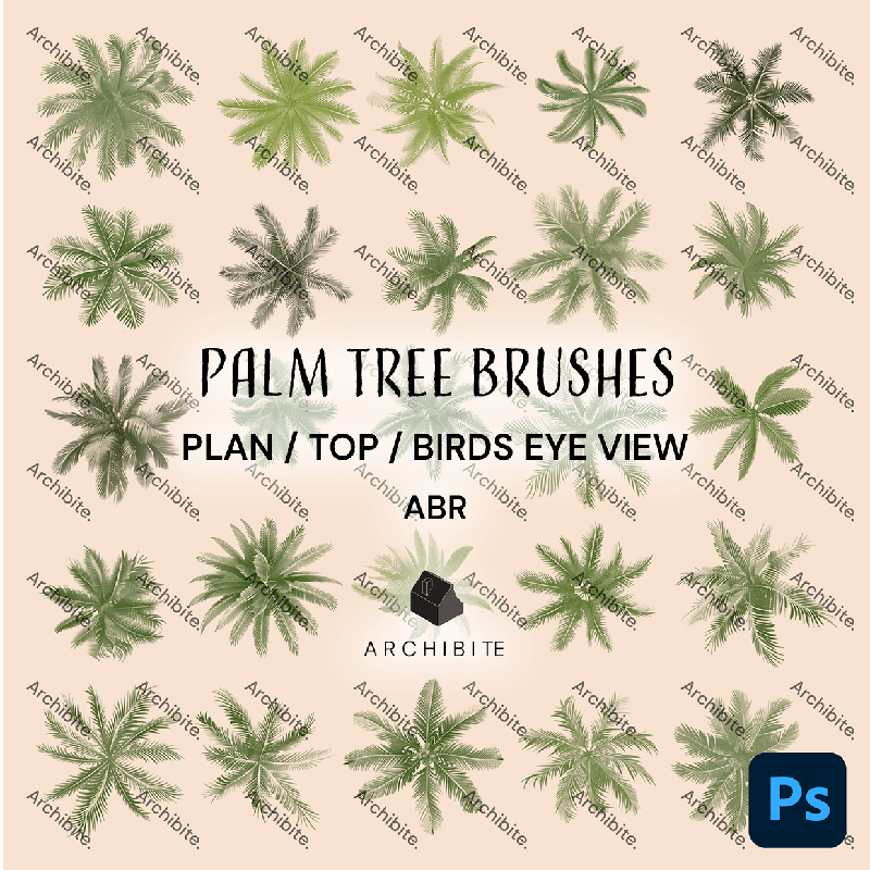 Photoshop Brushes Palm Trees Plan - Main Image