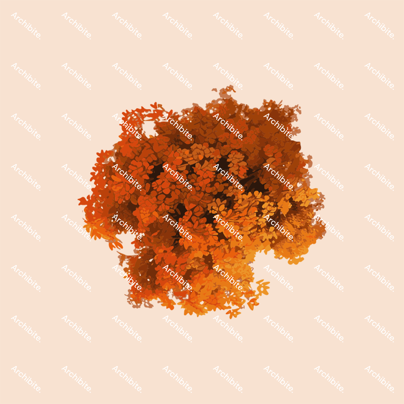 Vector Autumn Trees Plan