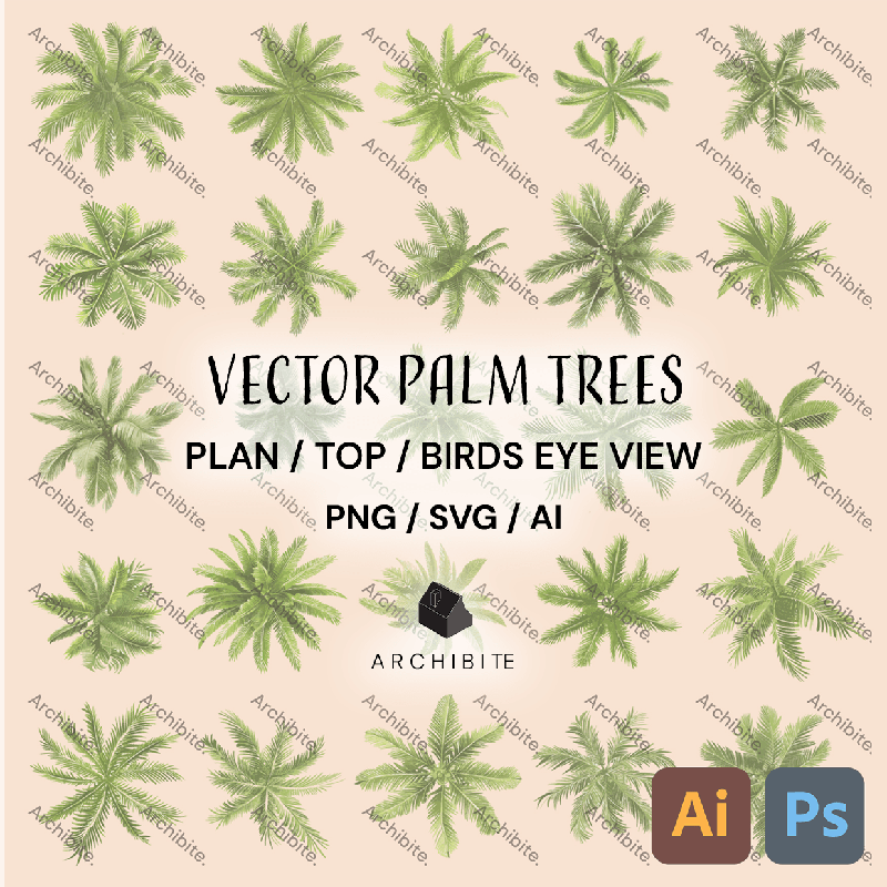 Vector Palm Trees Plan - Main Image