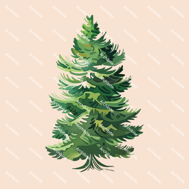 Vector Conifer Trees Elevation