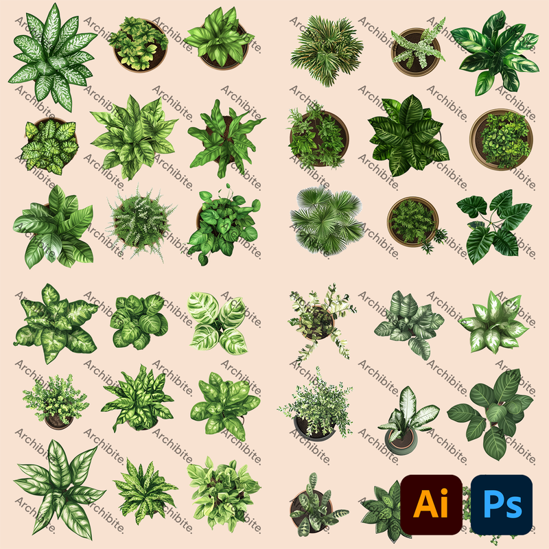 Vector House Plants Plan