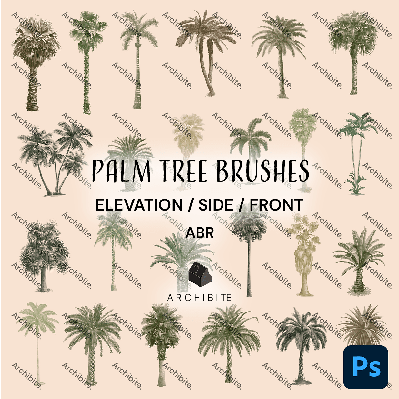 Photoshop Brushes Palm Trees Elevation - Main Image