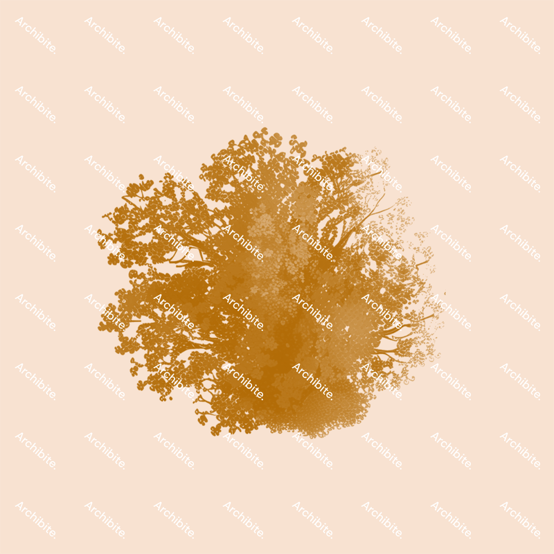 Photoshop Brushes Autumn Trees Plan