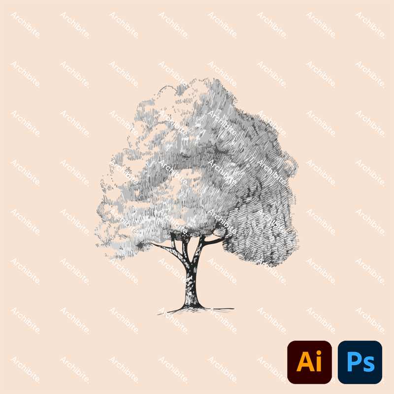 Vector Hand Drawn Trees Elevation 2