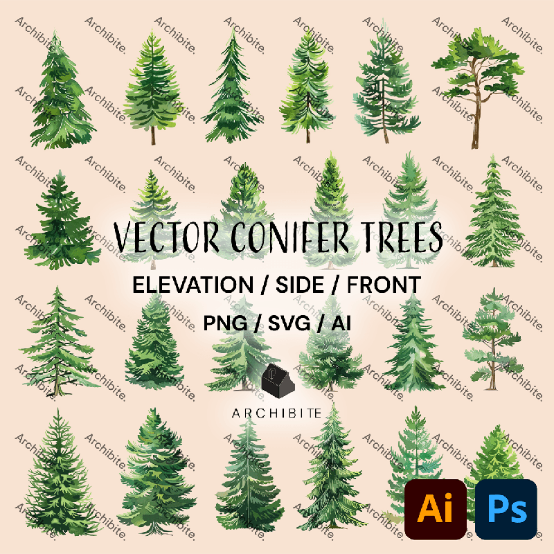Vector Conifer Trees Elevation - Main Image