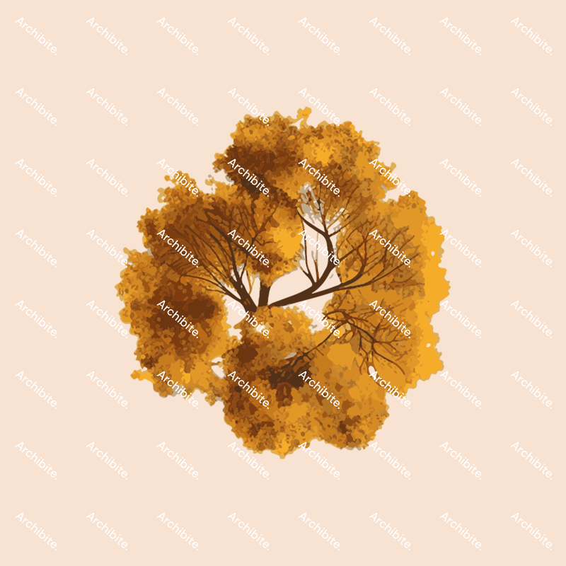 Vector Autumn Trees Plan