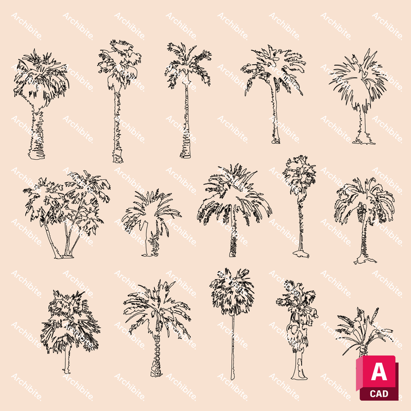 DWG Palm Trees Elevation