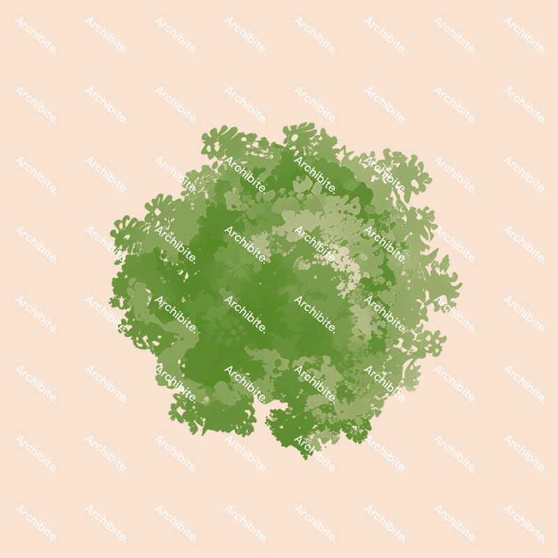 Photoshop Brushes Summer Trees Plan