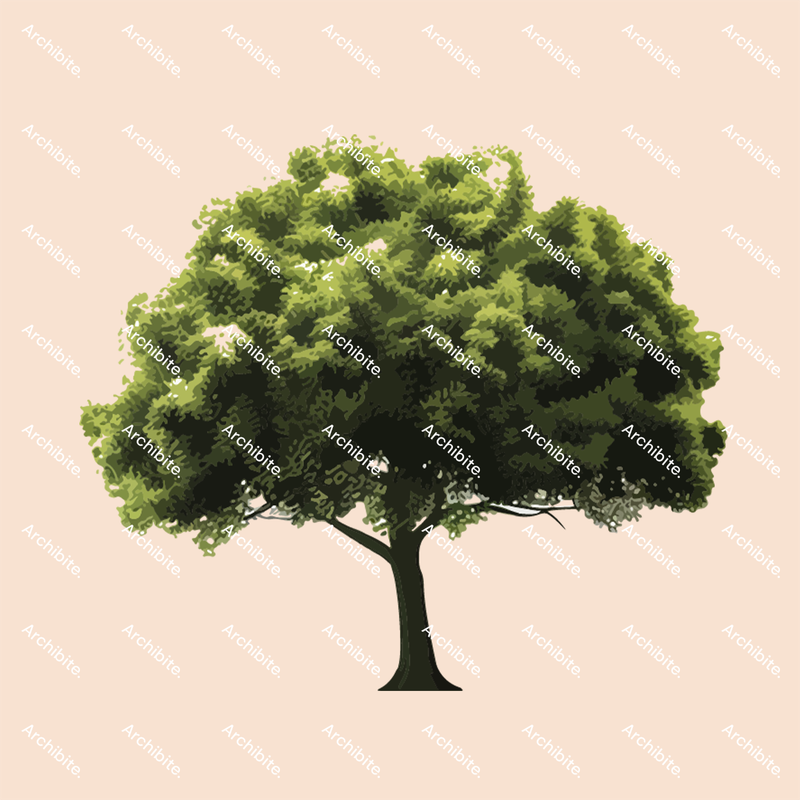 Vector Summer Trees Elevation