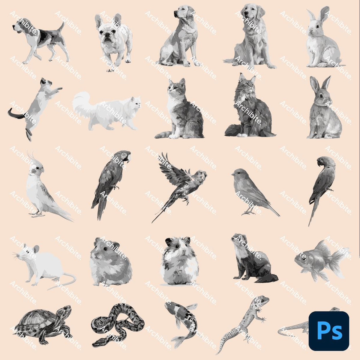 Photoshop Brushes - Common Pets Elevation