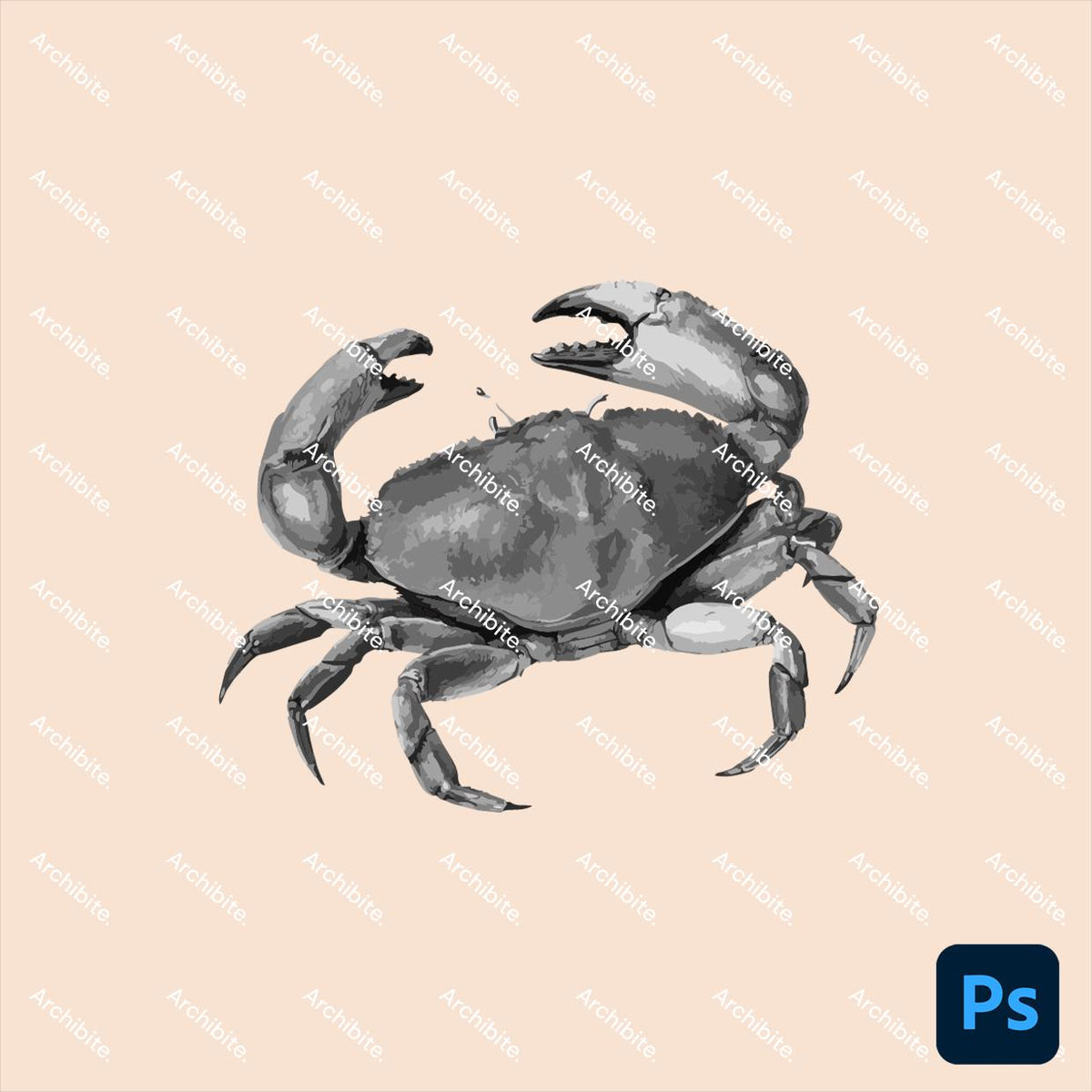 Photoshop Brushes - Seaside Animals Elevation