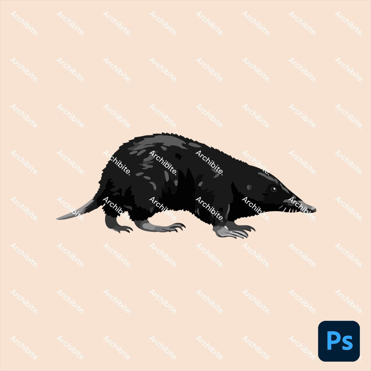 Photoshop Brushes - Small Forest Animals Elevation