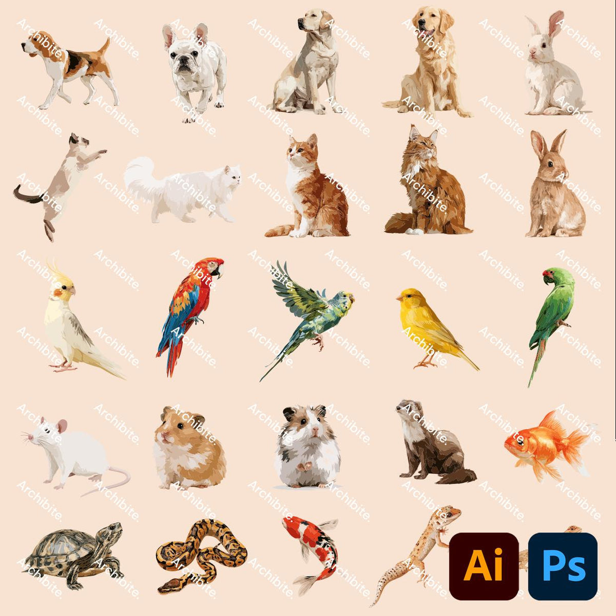 Vector Cutouts - Common Pets Elevation
