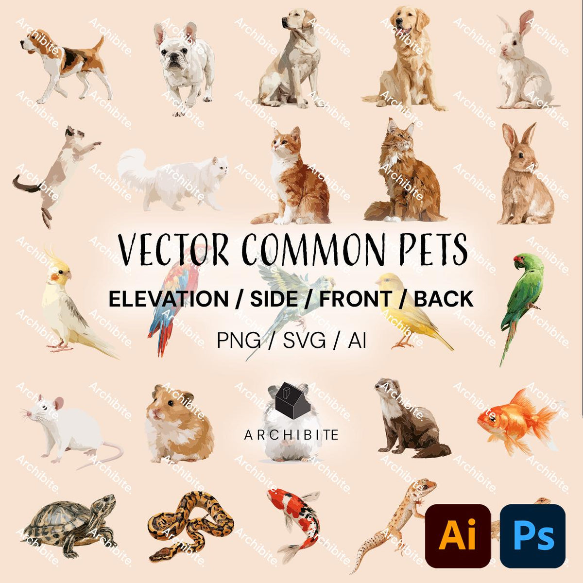 Vector Cutouts - Common Pets Elevation