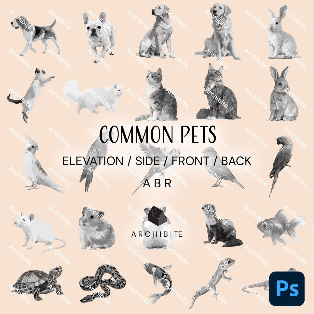 Photoshop Brushes - Common Pets Elevation