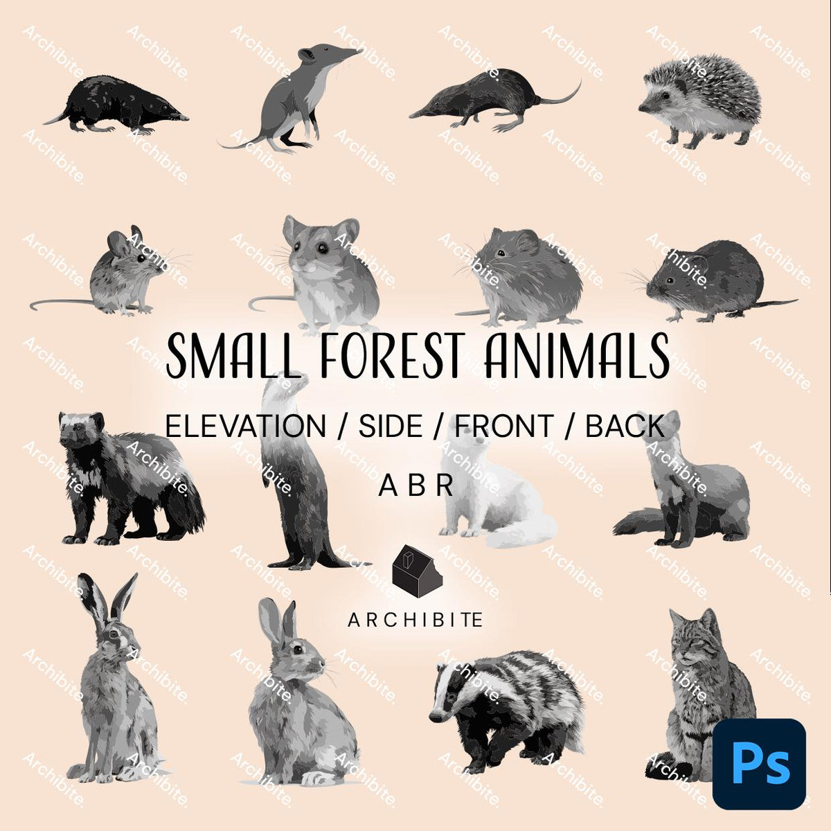 Photoshop Brushes - Small Forest Animals Elevation