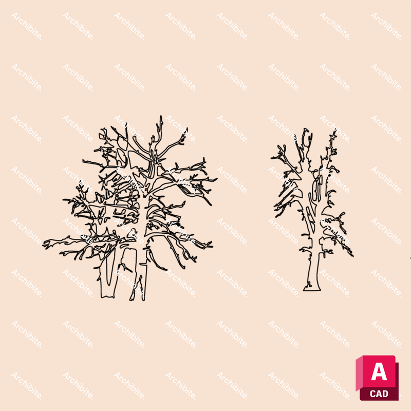 DWG Winter Trees Elevation