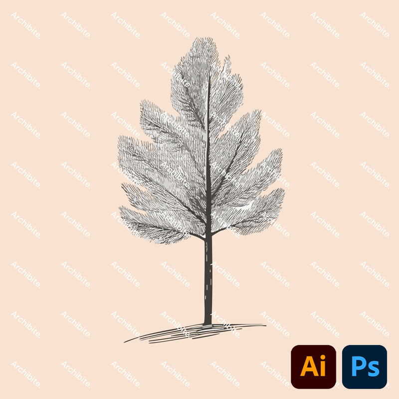 Vector Simple Hand Drawn Trees Elevation 2