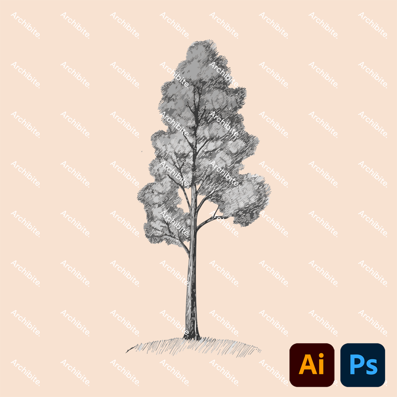 Vector Hand Drawn Trees Elevation 2