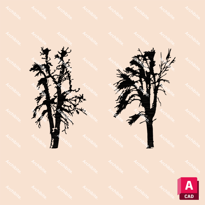 DWG Winter Trees Elevation