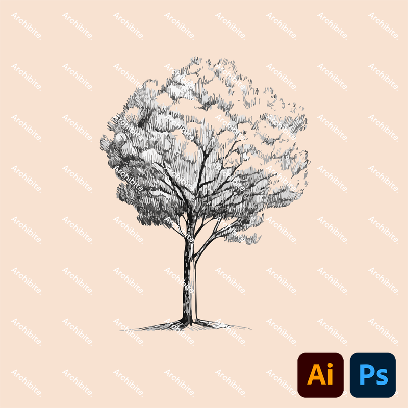 Vector Hand Drawn Trees Elevation