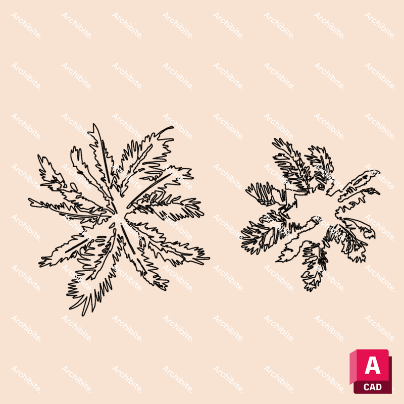 DWG Palm Trees Plan