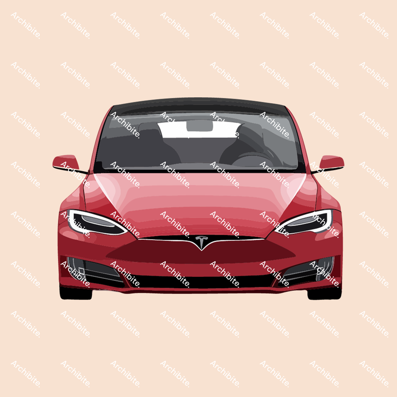 Vector Elevation Teslas